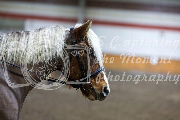 2026 - HJ Schooling - Sunday March 22nd - 02966
