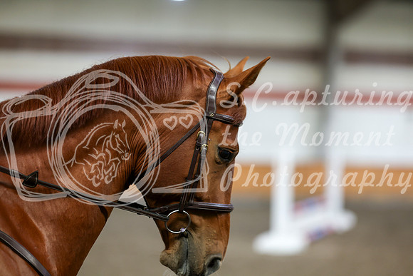 2026 - HJ Schooling - Sunday March 22nd - 03368