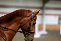 2026 - HJ Schooling - Sunday March 22nd - 03369