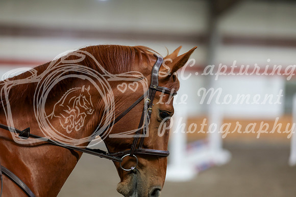 2026 - HJ Schooling - Sunday March 22nd - 03369