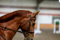 2026 - HJ Schooling - Sunday March 22nd - 03370