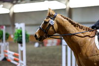 2026 - HJ Schooling - Sunday March 22nd - 02121