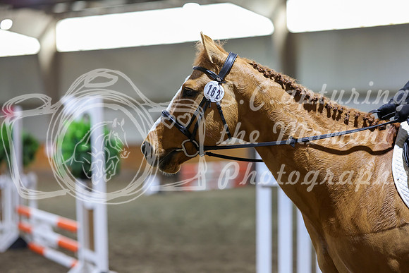 2026 - HJ Schooling - Sunday March 22nd - 02121