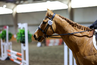 2026 - HJ Schooling - Sunday March 22nd - 02122