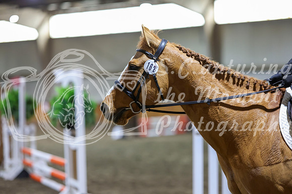 2026 - HJ Schooling - Sunday March 22nd - 02122