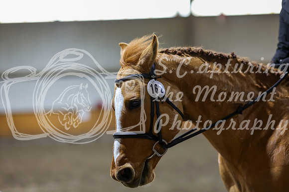 2026 - HJ Schooling - Sunday March 22nd - 02509