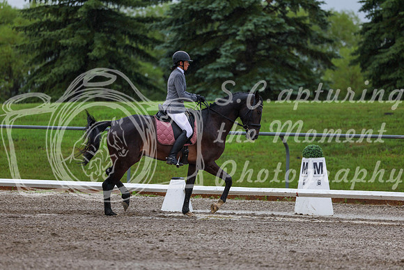 2025 - Dressage Festival - Sunday July 6th - 00635