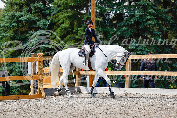 2025 - Haylee - Picco Horse Show - Saturday July 26th 07881