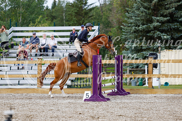 2025 - Haylee - Picco Horse Show - Friay July 25th 01763