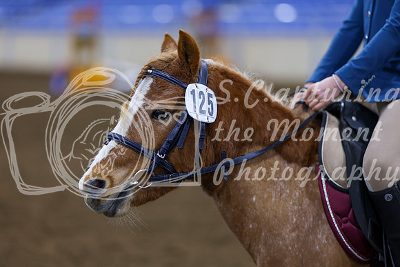 2026 - Season Set up - April 3rd - 00374