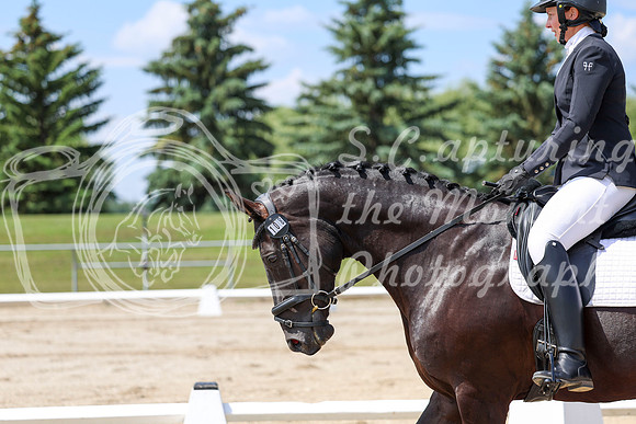 2025 - Dressage Festival - Saturday July 5th - 06969