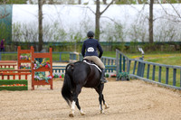2025 - Shea - Bow Valley II - Friday May 16th - 05021