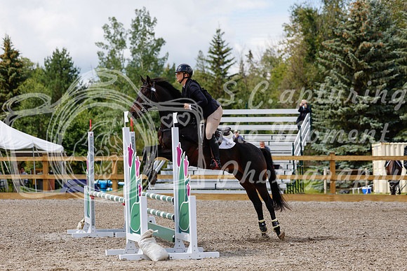 2025 - Haylee - Picco Horse Show - Sunday July 27th 03386