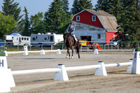 2025 - Dressage Festival - Saturday July 5th - 00110