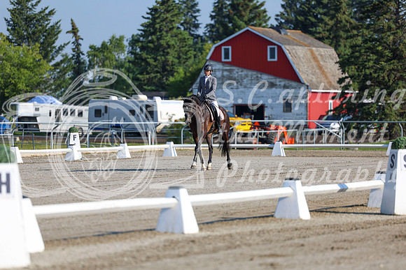 2025 - Dressage Festival - Saturday July 5th - 00110