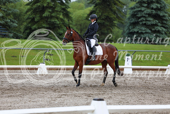 2025 - Dressage Festival - Sunday July 6th - 07797