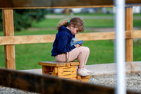 2025 - Haylee - Picco Horse Show - Saturday July 26th 00013