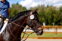 2025 - Haylee - Picco Horse Show - Friay July 25th 05553