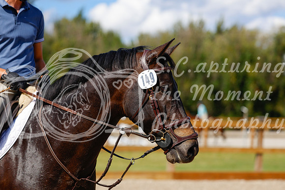 2025 - Haylee - Picco Horse Show - Friay July 25th 05553