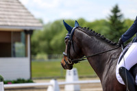 2025 - Dressage Festival - Saturday July 5th - 07484