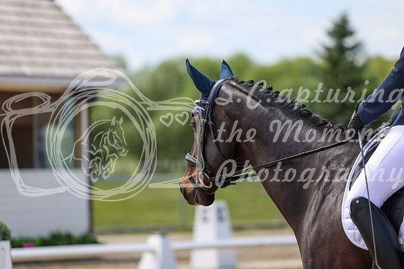 2025 - Dressage Festival - Saturday July 5th - 07484