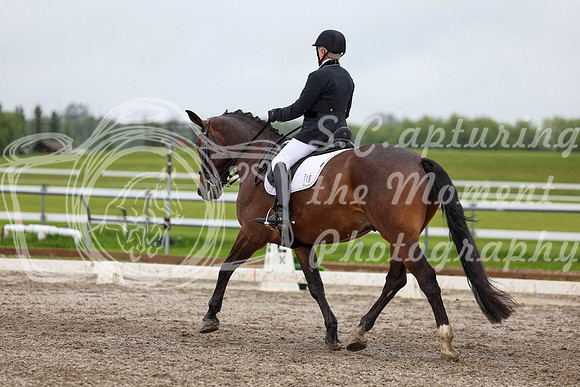 2025 - Dressage Festival - Sunday July 6th - 08783