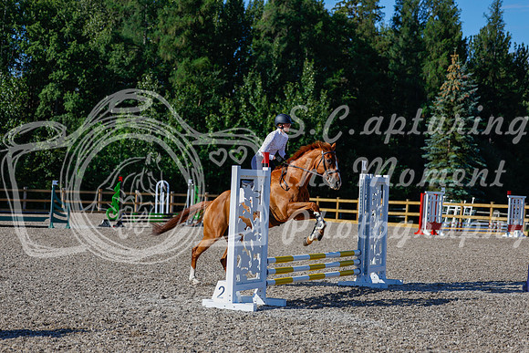 2025 - Haylee - Picco Horse Show - Thursday July 24th 00368