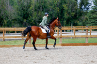 2025 - Haylee - Picco Horse Show - Saturday July 26th 08278