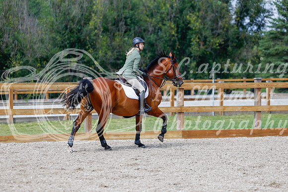 2025 - Haylee - Picco Horse Show - Saturday July 26th 08278