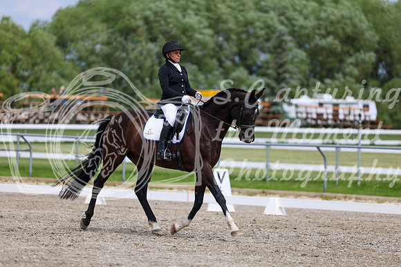 2025 - Dressage Festival - Saturday July 5th - 11408