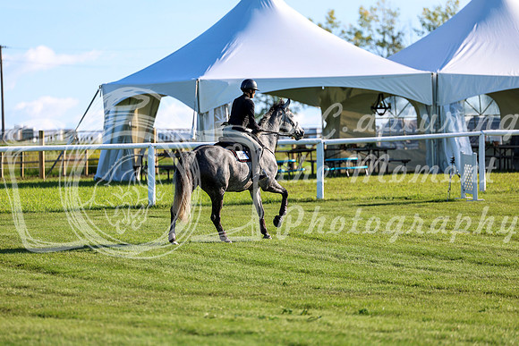 2025 - Shea - Teesdale - Friday July 25th - 03392