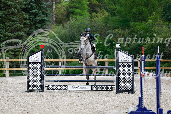 2025 - Haylee - Picco Horse Show - Sunday July 27th 05905