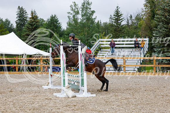 2025 - Haylee - Picco Horse Show - Sunday July 27th 01093