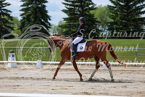 2025 - Dressage Festival - Saturday July 5th - 10092