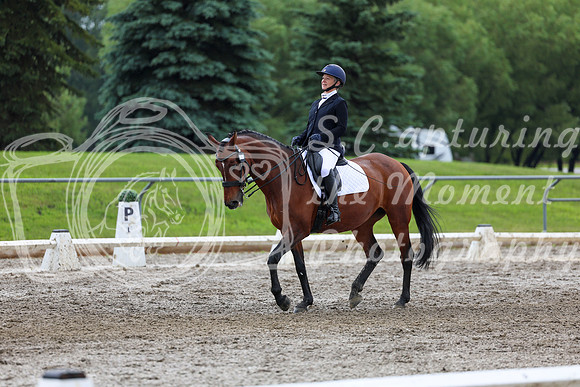 2025 - Dressage Festival - Sunday July 6th - 13169