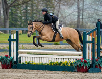 Pony