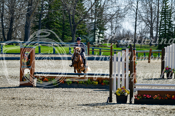 2026 - Dan - Bow Valley I - Friday May 8th - 01343