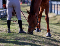 Bow Valley Classic I