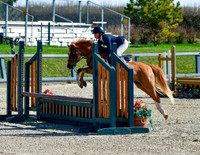 Pony Hunter