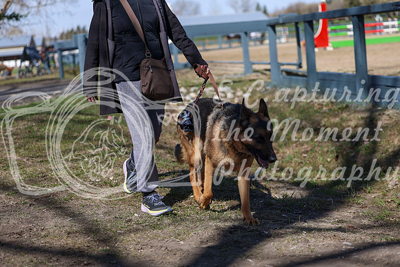 2026 - Shea - Bow Valley I - Friday May 8th - 01382