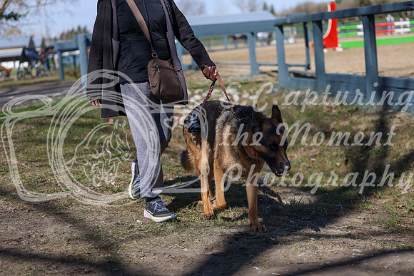 2026 - Shea - Bow Valley I - Friday May 8th - 01383
