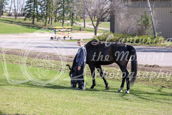 2026 - Shea - Bow Valley I - Friday May 8th - 01873