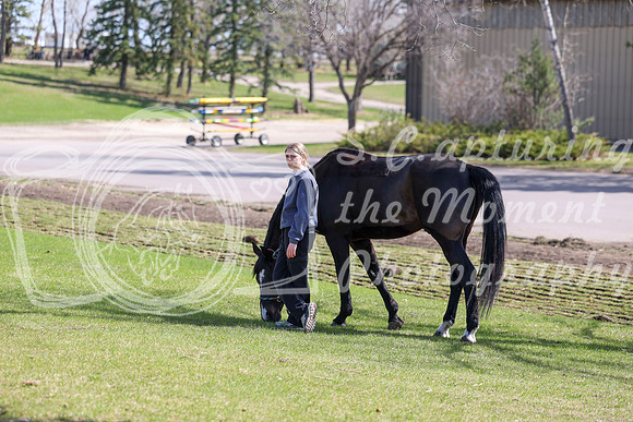 2026 - Shea - Bow Valley I - Friday May 8th - 01871