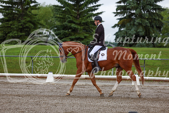2025 - Dressage Festival - Sunday July 6th - 01324
