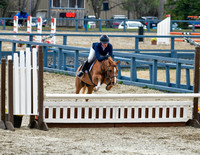 Pony