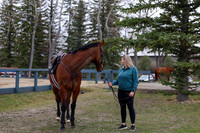 2026 - Shea - Bow Valley I - Saturday May 9th - 00005