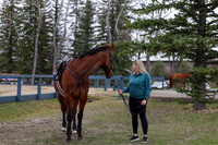 2026 - Shea - Bow Valley I - Saturday May 9th - 00006