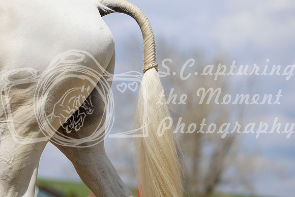 2026 - Shea - Bow Valley I - Saturday May 9th - 04633