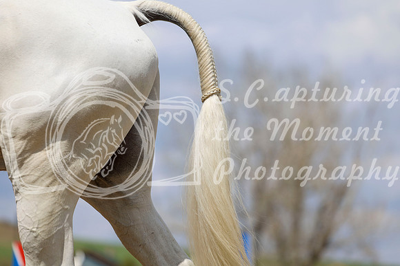 2026 - Shea - Bow Valley I - Saturday May 9th - 04635