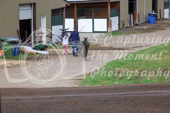 2026 - Shea - Bow Valley I - Sunday May 10th - 00013